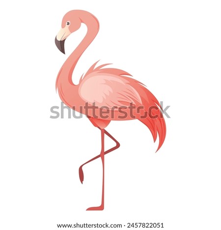 Beautiful pink flamingo on white background. Vector illustration of tropical bird for summer