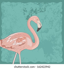 Beautiful pink flamingo. Perfect background for your invitation card. Cute fully editable illustration drawn in vector by hand.