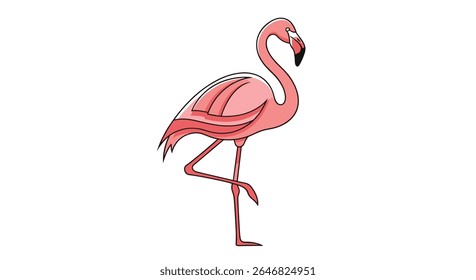 Um Flamingo rosa bonito de pé em uma perna em uma postura graciosa contra um fundo branco capturando sua elegância