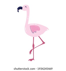 Beautiful Pink Flamingo Vector Ilustration