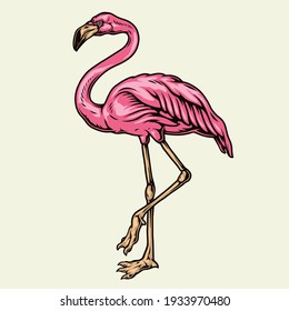 Beautiful pink flamingo in vintage style isolated vector illustration