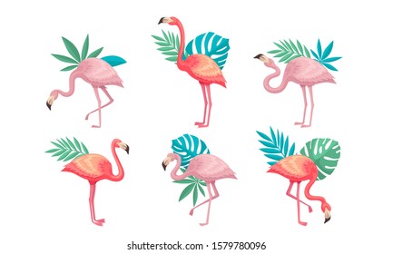 Beautiful Pink Flamingos Set, Tropical Exotic Birds with Palm Leaves Vector Illustration