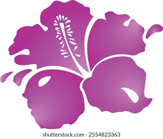 Beautiful pink flower with drops