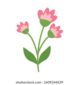 Beautiful Pink Flower and Green Stem on the white background. Simple Floral Design Minimalist Botanical Flat Design Vector Illustration