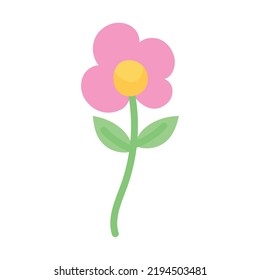 beautiful pink flower on white background