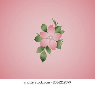 Beautiful pink flower vector with leaves on pink background