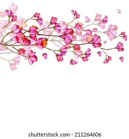 beautiful pink flowers