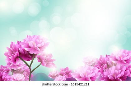 Beautiful pink flowers blooming on blue light bokeh background. Happy Valentines Day. Happy womens day