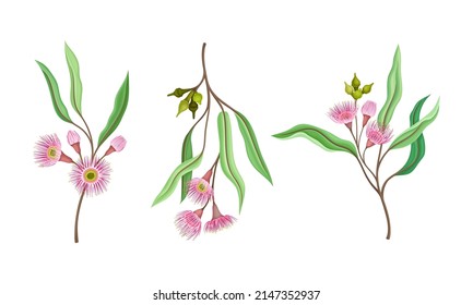 Beautiful pink flowers and green leaves set vector illustration