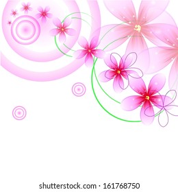 beautiful pink flowers on a white background
