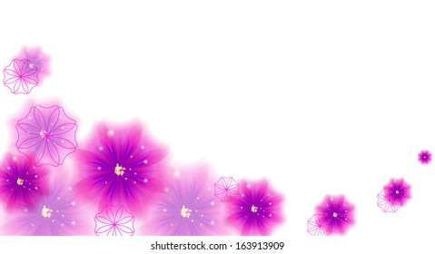 beautiful pink flowers on a white background