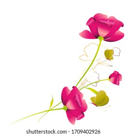 beautiful pink flowers, peonies i roses