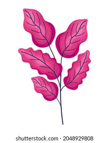 beautiful pink leaves and stem