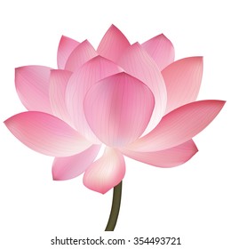 Beautiful pink lotus flower, isolated on white background. Stylish floral spring wallpaper. Greeting or invitation card. Vector illustration Eps-10