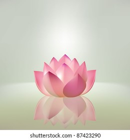 Beautiful pink lotus flower with reflection