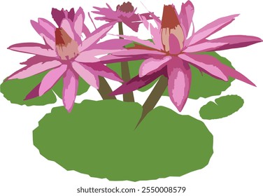 Beautiful pink lotus flower vector illustration image