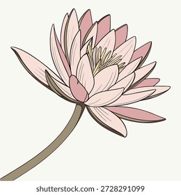 Hermosa Ilustración vectorial de flor de loto rosa con Formas lisas limpias y pétalos detallados. Diseño floral decorativo moderno en estilo de Vector plano y semi-realista. Aislado sobre un fondo blanco, sin texto, Vector totalmente editable. Perfecto para branding, packaging, arte de pared, diseños de wellness y proyectos gráficos creativos.