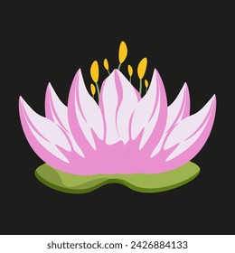 Beautiful pink Lotus isolated black background. Sacred plant of India. Beauty Summer Flower. Water lily. Vector illustration can used web design. EPS 10