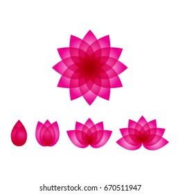 beautiful pink lotus vector set, lotus icons, water lily flowers illustration