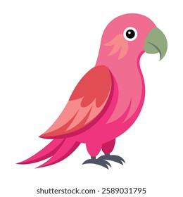 Beautiful Pink Parrot on White Background