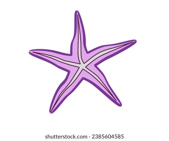 Beautiful pink pentagon starfish isolated on white background. vector