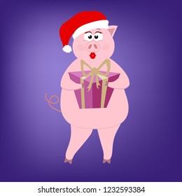 Beautiful pink pig girl holding a gift box in a hat Santa Claus with a golden bow for the New Year and Christmas 2019 in the winter in December on a purple background