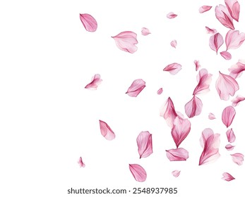 Beautiful pink and purple flower petals gracefully falling against a white background, creating a delicate and romantic atmosphere. Perfect for spring-themed designs, wedding invitations.