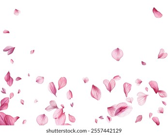 Beautiful pink and purple flower petals gracefully falling against a white background, creating a delicate and romantic atmosphere. Perfect for spring-themed designs, wedding invitations.