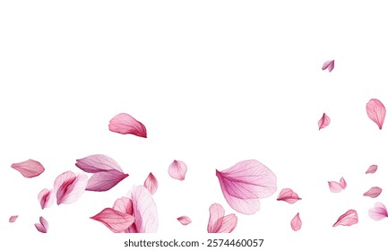 Beautiful pink and purple flower petals gracefully falling against a white background, creating a delicate and romantic atmosphere. Perfect for spring-themed designs, wedding invitations.