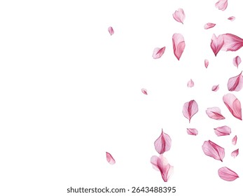 Beautiful pink and purple flower petals gracefully falling against a white background, creating a delicate and romantic atmosphere. Perfect for spring-themed designs, wedding invitations.