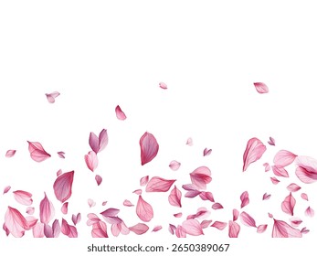 Beautiful pink and purple flower petals gracefully falling against a white background, creating a delicate and romantic atmosphere. Perfect for spring-themed designs, wedding invitations.