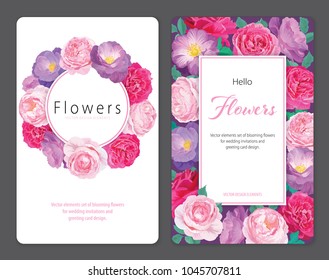 Beautiful pink and purple roses flower background template. Vector set of blooming floral for wedding invitations and greeting card design.