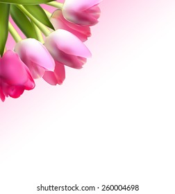 Beautiful Pink Realistic Tulip Background Vector Illustration EPS10 