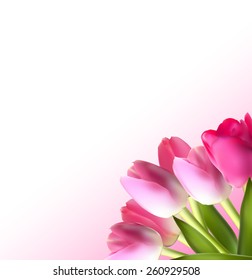 Beautiful Pink Realistic Tulip Background Vector Illustration EPS10 