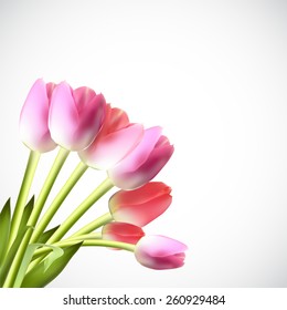 Beautiful Pink Realistic Tulip Vector Illustration EPS10 