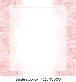 Beautiful Pink Rose Banner Card Border - Rosa isolated on White Background. Valentine Day. Vector Illustration.