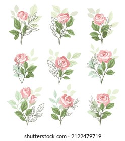 Beautiful Pink Rose Blossom on Stem with Green Leaf as Garden Flora Vector Set