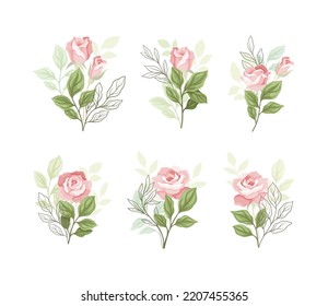 Beautiful Pink Rose Blossom on Stem with Green Leaf as Garden Flora Vector Set