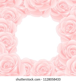 Beautiful Pink Rose Border - Rosa isolated on White Background. Valentine Day. Vector Illustration.