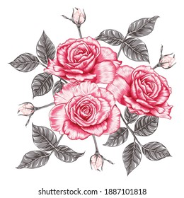 Beautiful pink Rose flowers bouquet on isolated white background.Vector illustration hand drawing line art.For pattern fabric texture design,wedding card and product packaging. 