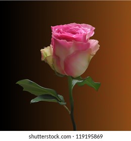 Beautiful pink rose on stem with leaf isolated on color background. Photo realistic vector illustration.