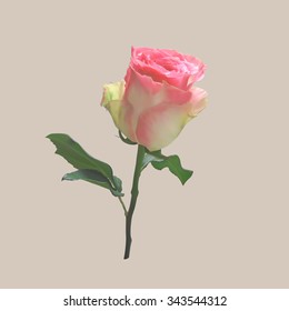 Beautiful pink rose on stem with leaf isolated on a beige background, photo realistic vector illustration.