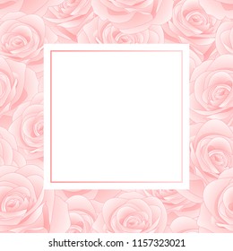 Beautiful Pink Rose - Rosa Banner Card. Valentine Day. Vector Illustration.