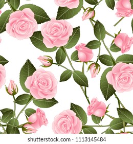 Beautiful Pink Rose - Rosa on White Background. Valentine Day. Vector Illustration.