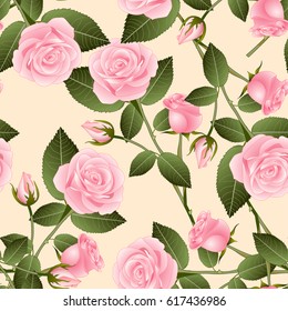 Beautiful Pink Rose - Rosa on Beige Ivory Background. Valentine Day. Vector Illustration.