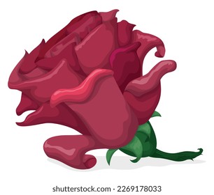 Beautiful pink rose with short stem in cartoon style, isolated over white background.