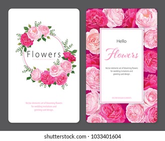 Beautiful pink roses flower background template. Vector set of blooming floral for wedding invitations and greeting card design.