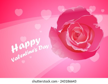 Beautiful Pink Roses, Illustration design