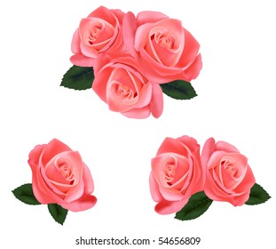 Beautiful pink roses with leaves isolated on the white background. Photo-realistic vector illustration.