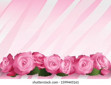 Beautiful pink roses on a background with wavy stripes in pink colors. Vector template for greeting card or invitation design, poster.